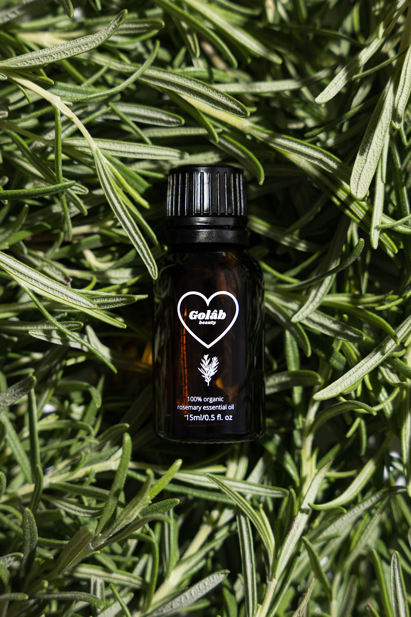 100% Organic Rosemary Essential Oil – Golâb Beauty